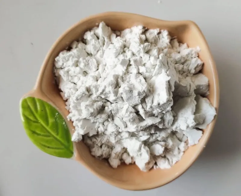 diatomite powder